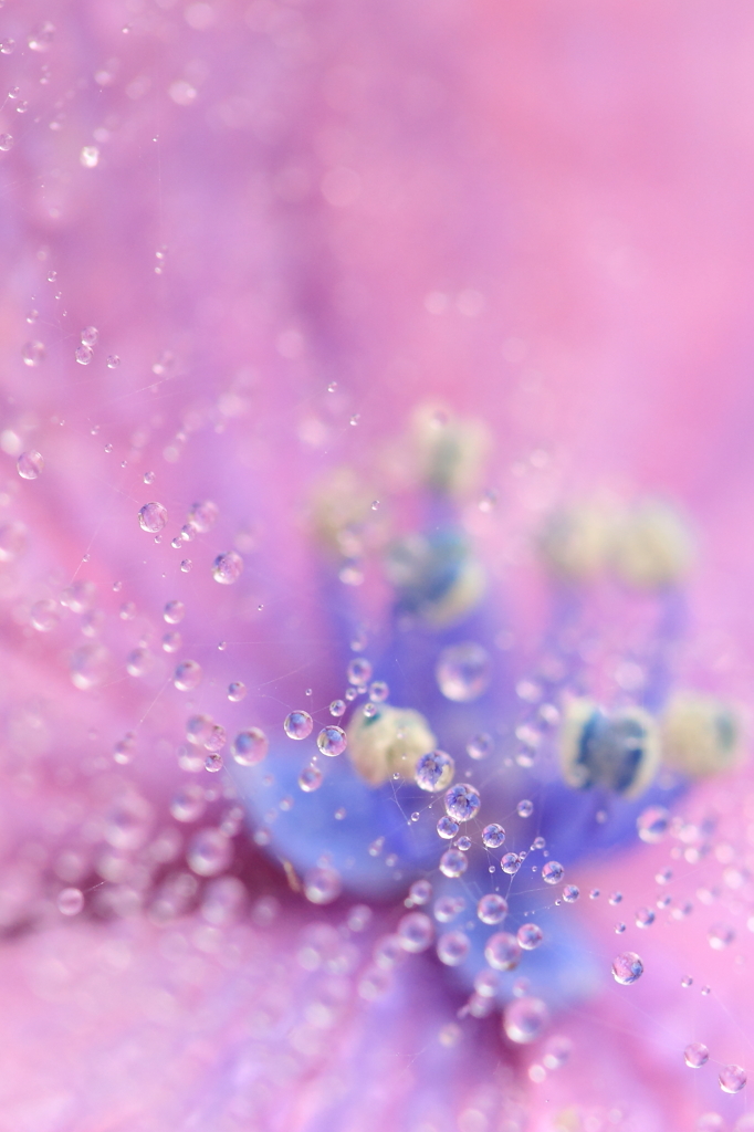 雨上がりの午後