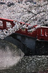 寂しさと・・・
