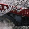 寂しさと・・・
