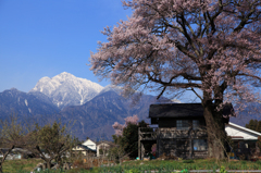 ほっこり山梨