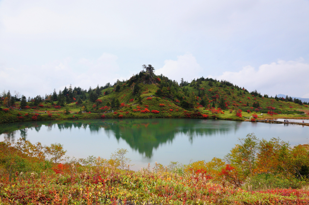 紅葉の城　－弓池－