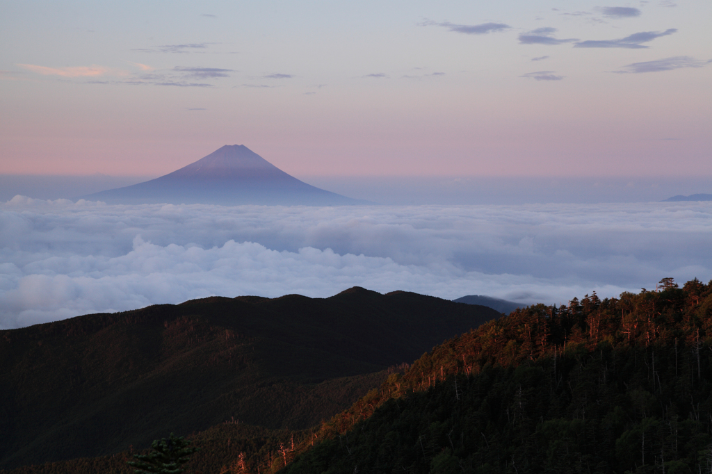 光差す