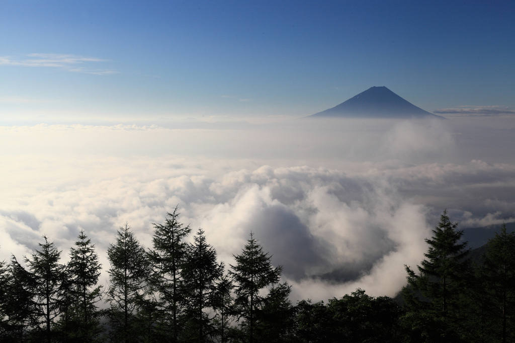 富士山と雲の海