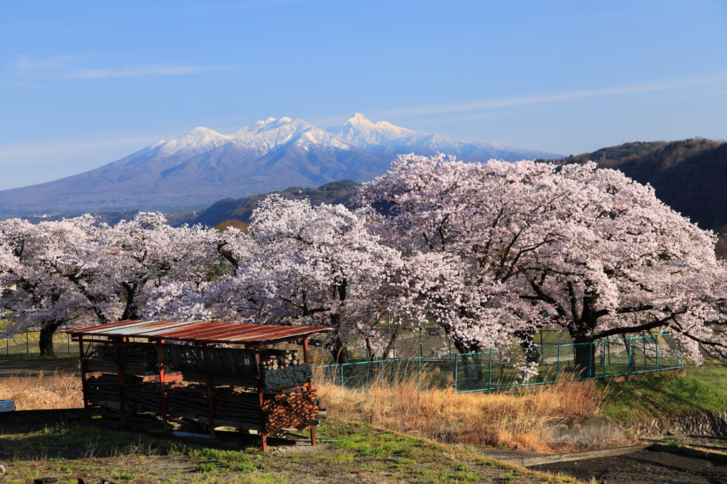 八ヶ岳を背に