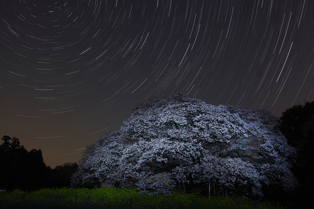 星と共に300年