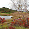 弓池の紅葉