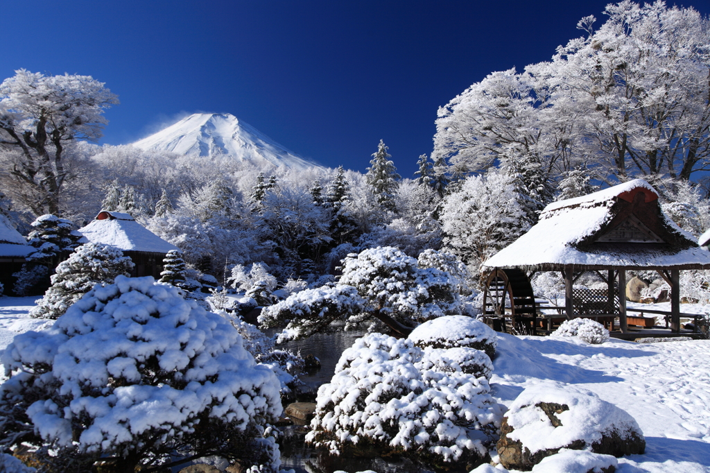 雪纏いて