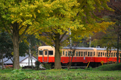 秋色の電車