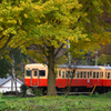 秋色の電車