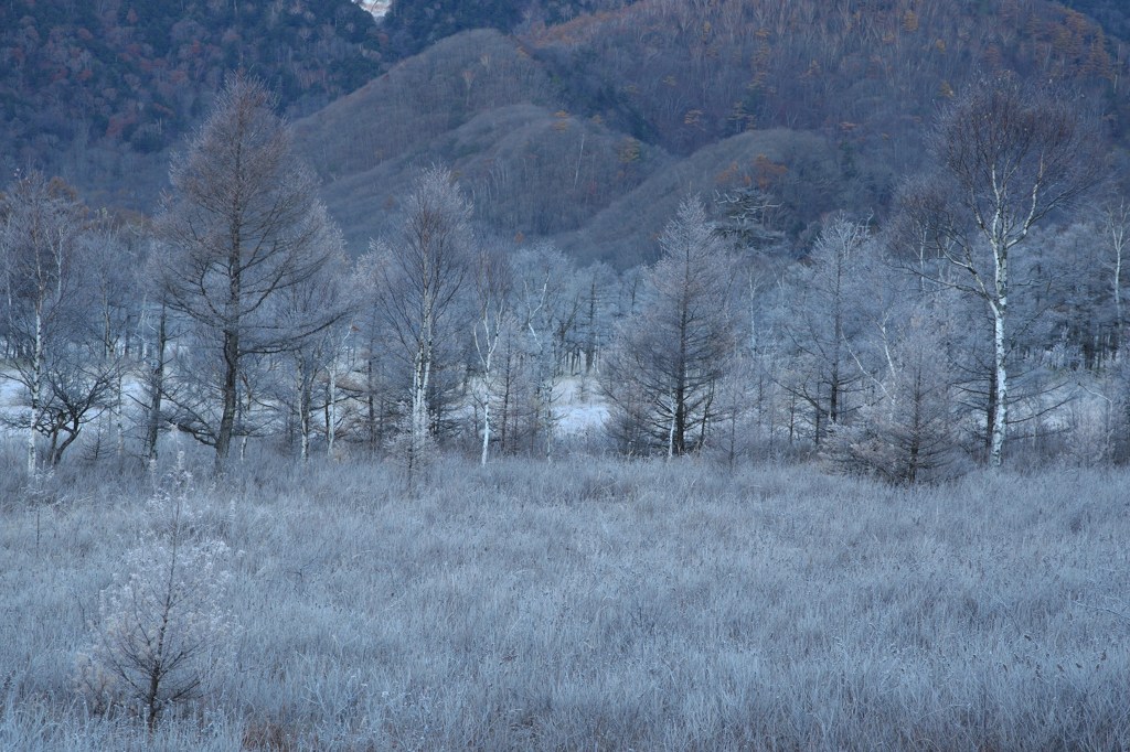 白い大地