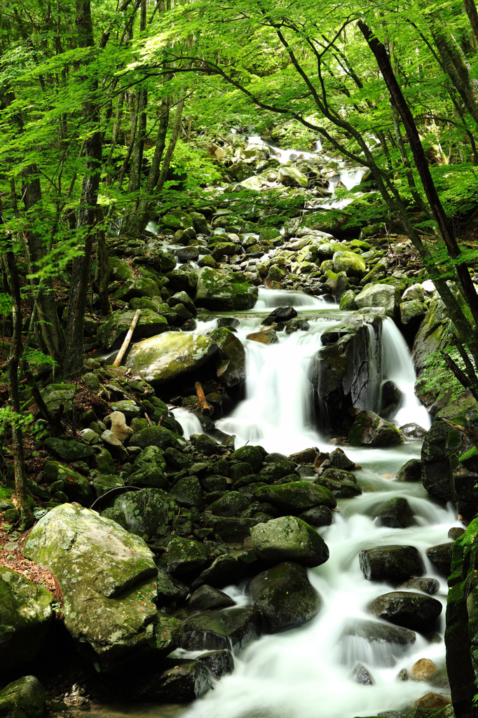 竜神の滝 徳和渓谷 By なめこ汁 Id 写真共有サイト Photohito