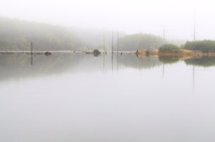 薄霧の美　－大正池－