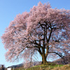 わに塚の桜　～第2章　愛～