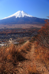 振り返ればそこに…