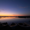 朝を楽しむ　－印旛沼－