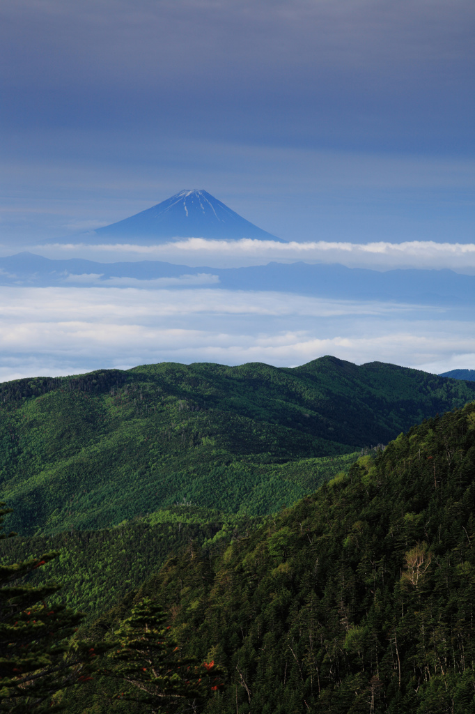 存在感