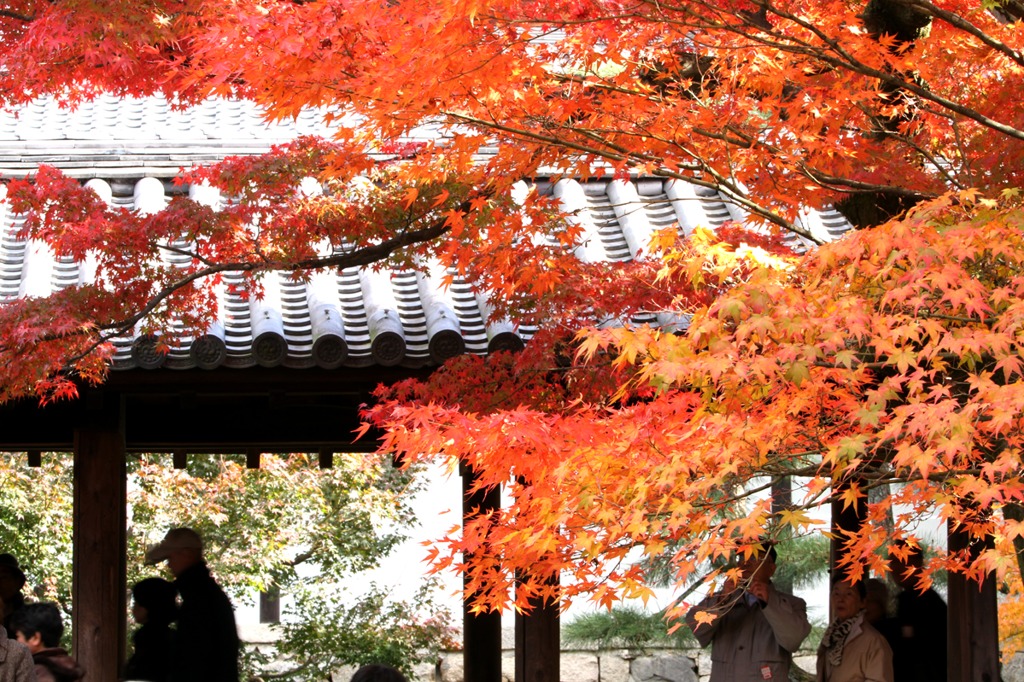 東福寺