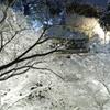 白銀に染められて