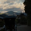 IMG_6593