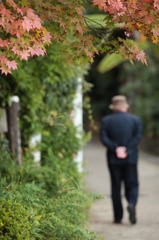 紅葉と老人
