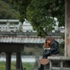 読書