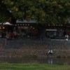 IMG_6439