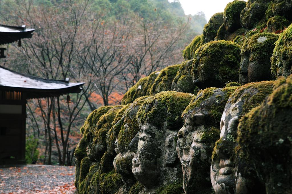 雨の愛宕念仏寺