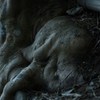 縁の下の力コブ