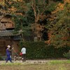 IMG_6553