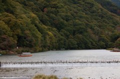 IMG_6443