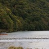 IMG_6443