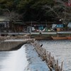 IMG_6450
