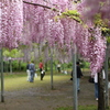 雨宿り