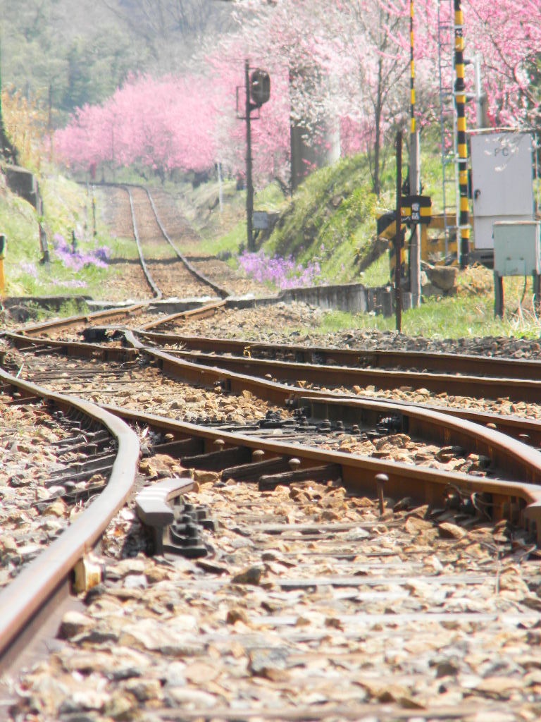 鉄道の春