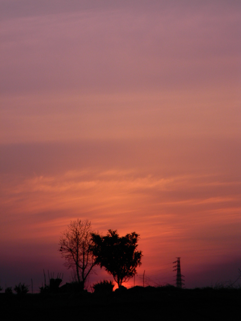 夕暮れ