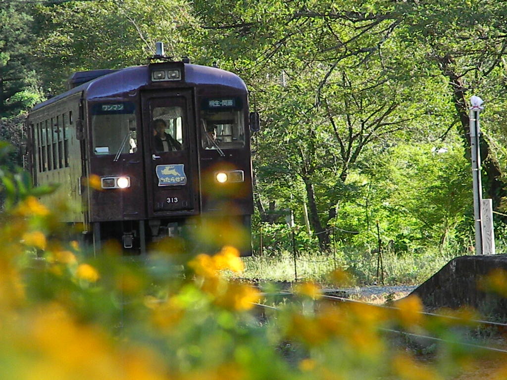 渡良瀬渓谷鉄道