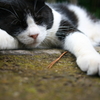nap time