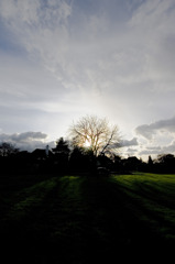 ray of light