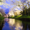 夜桜と夕暮れ富士