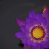 IMGP4359