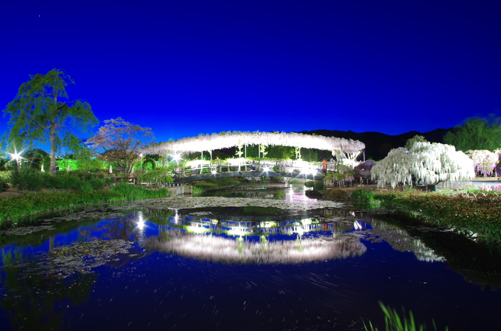 夕暮れのうすべに橋