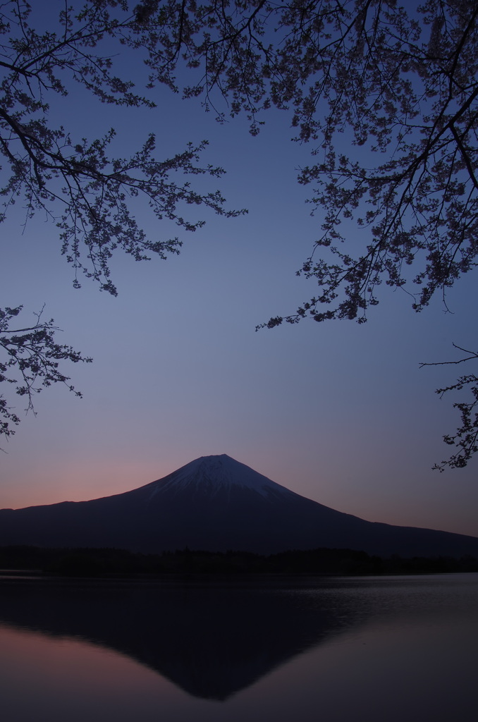 春の夜明け