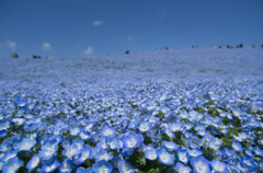 どこまでもつづく空