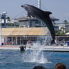 ジャンプ!! 3