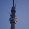 夕日のあたるスカイツリー