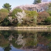 IMGP2430