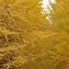 IMGP6553.jpg
