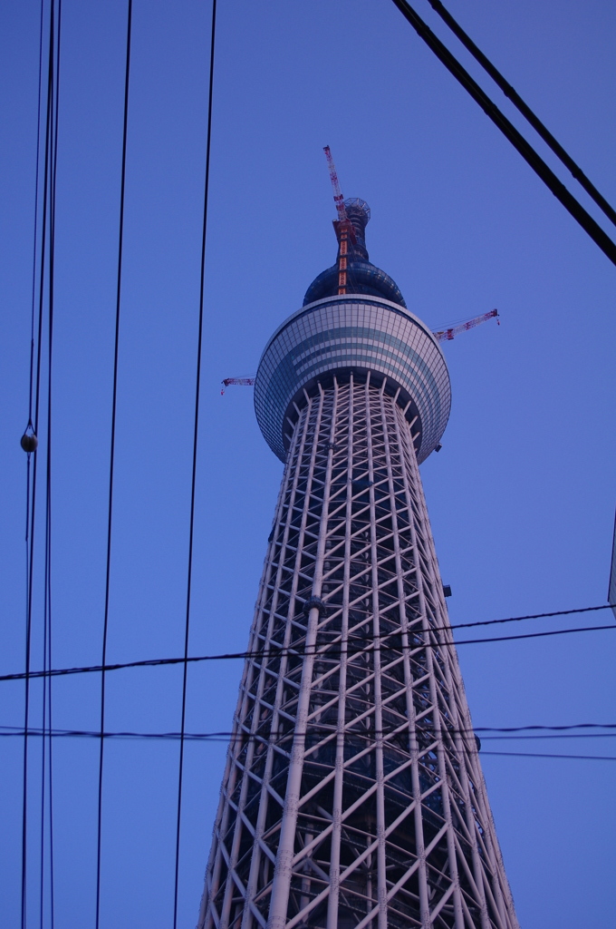 電線多いです