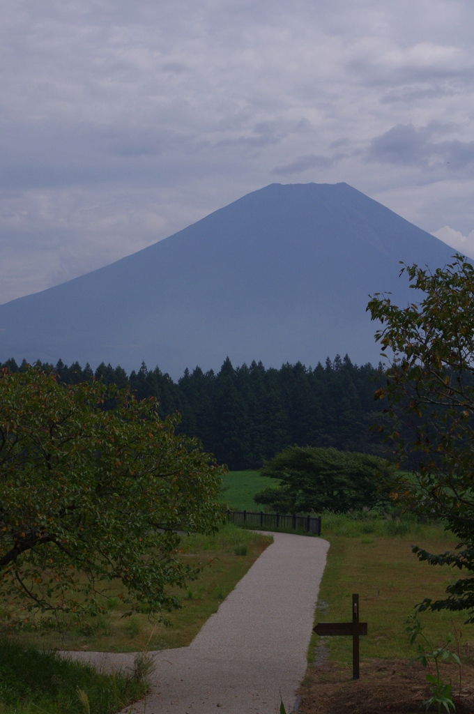 再登場