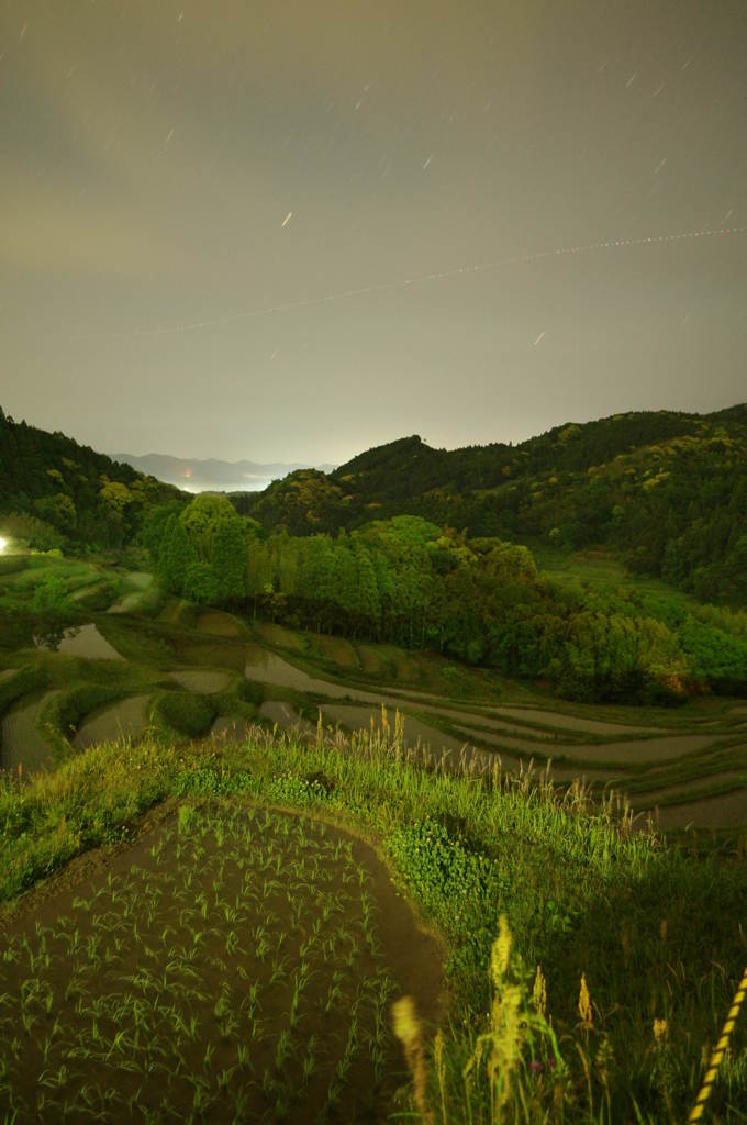 夜の棚田